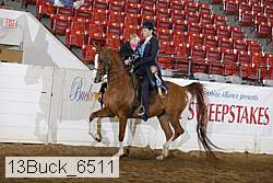 13buck_6511 proof