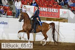 13buck_6512 proof