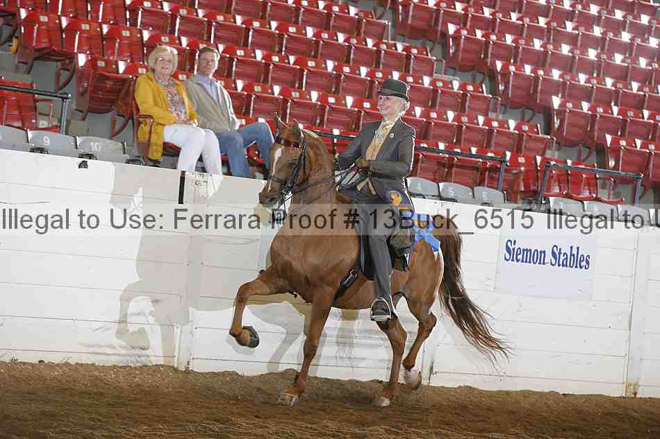 Proof 13buck_6515