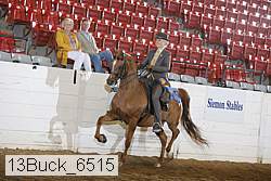 13buck_6515 proof