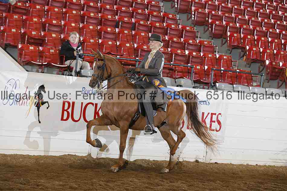 Proof 13buck_6516