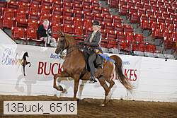 13buck_6516 proof
