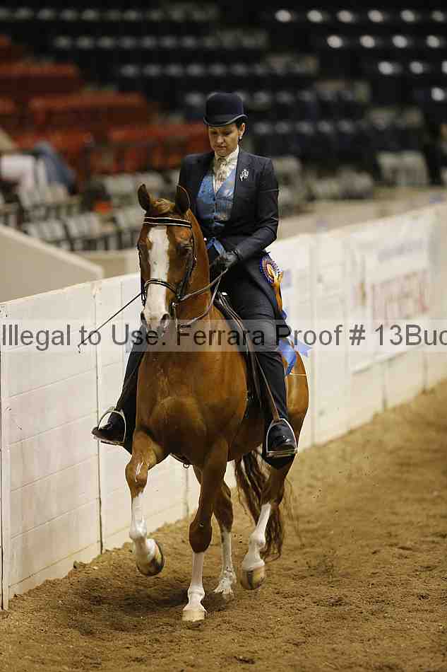 Proof 13buck_6517