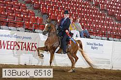 13buck_6518 proof
