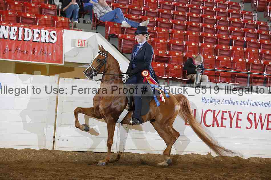 Proof 13buck_6519