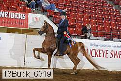 13buck_6519 proof