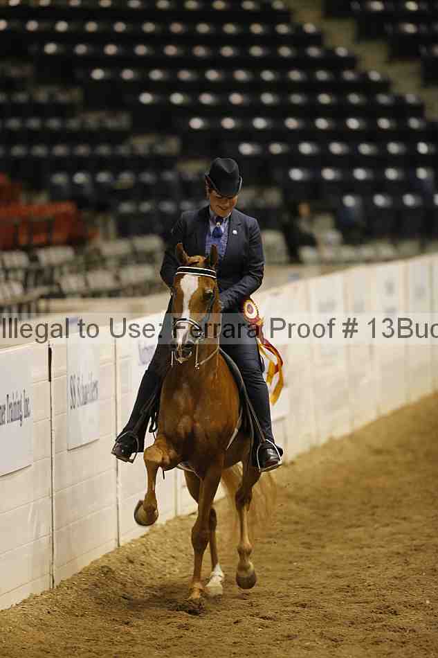 Proof 13buck_6521