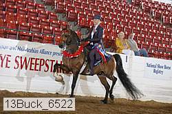 13buck_6522 proof