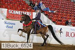 13buck_6524 proof