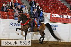 13buck_6526 proof