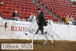 13buck_6529 proof