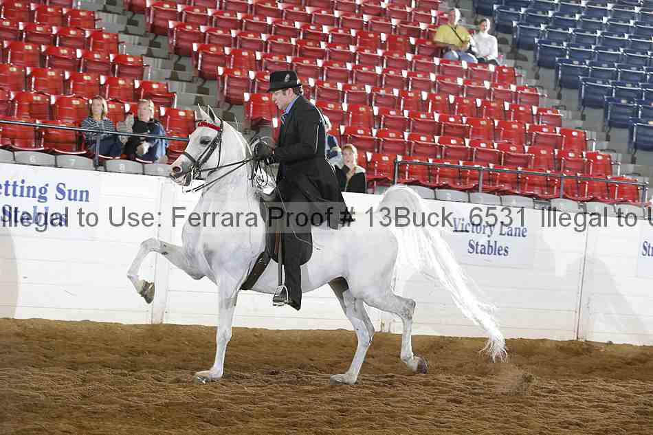 Proof 13buck_6531