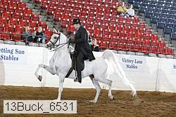 13buck_6531 proof