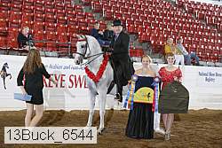 13buck_6544 proof