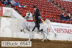 13buck_6547 proof
