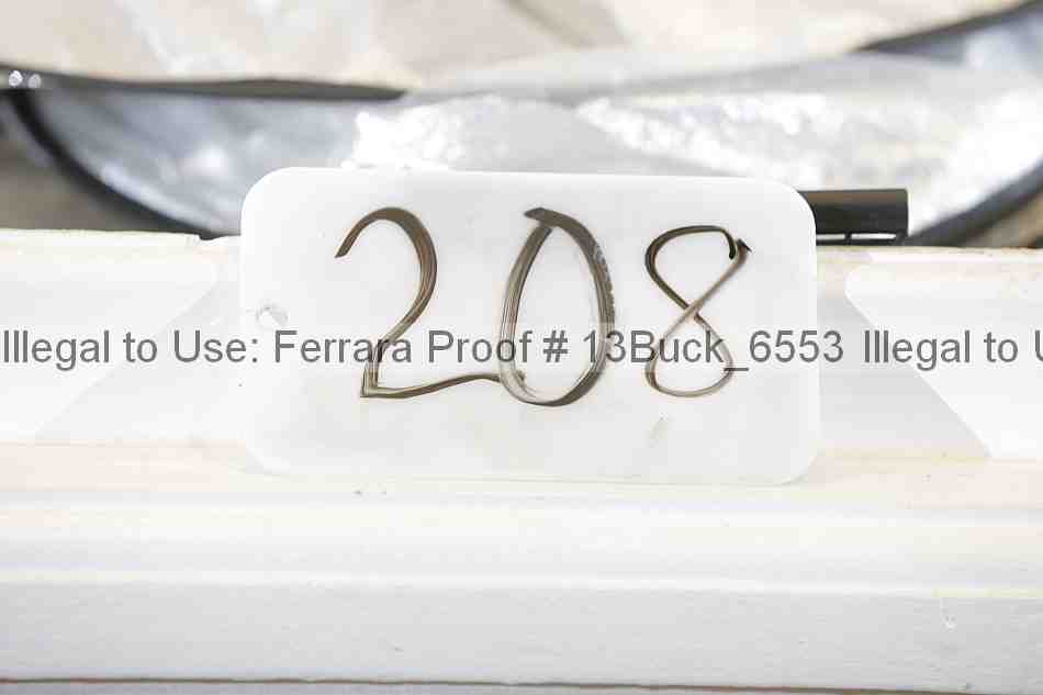 Proof 13buck_6553