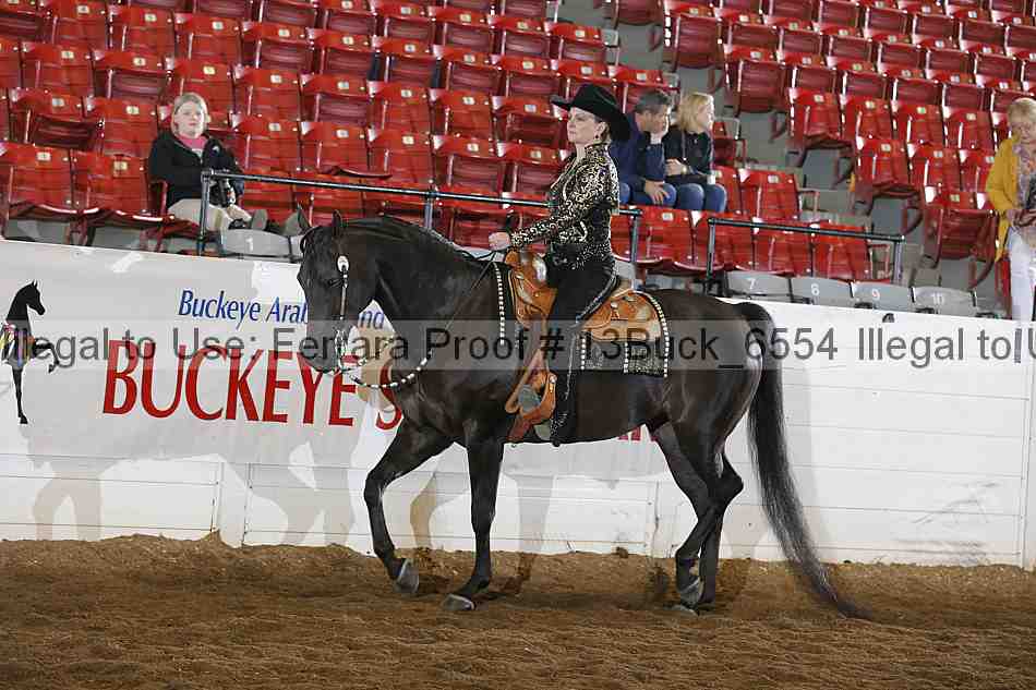 Proof 13buck_6554