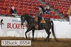 13buck_6554 proof