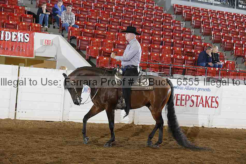 Proof 13buck_6555