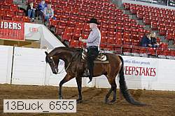 13buck_6555 proof