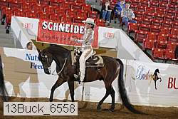13buck_6558 proof