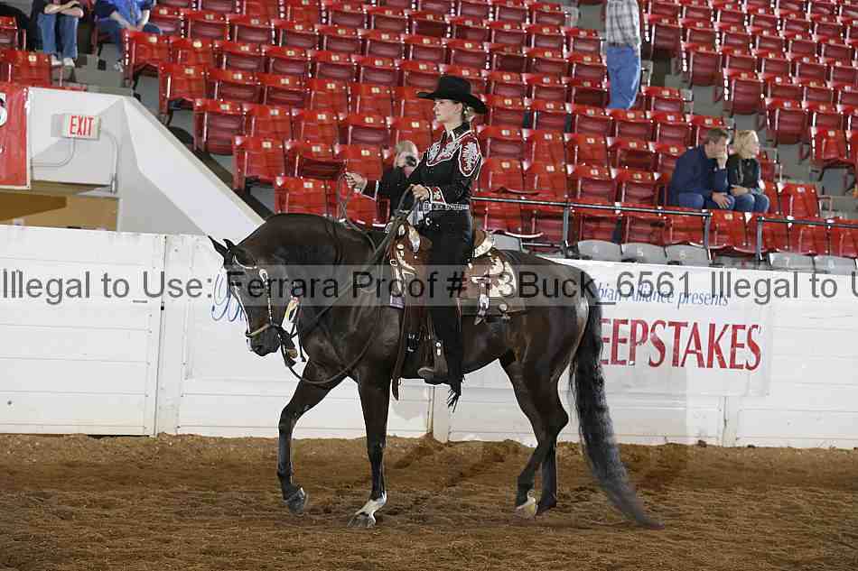 Proof 13buck_6561