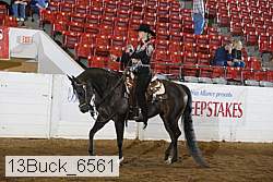 13buck_6561 proof
