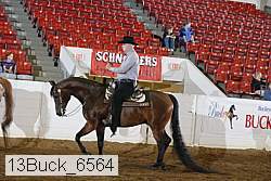 13buck_6564 proof
