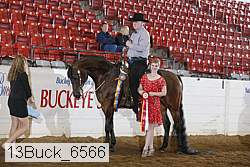 13buck_6566 proof