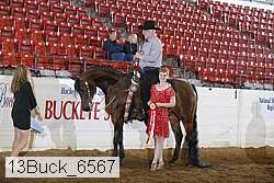 13buck_6567 proof