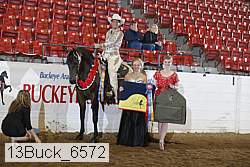 13buck_6572 proof