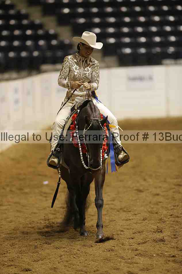 Proof 13buck_6576