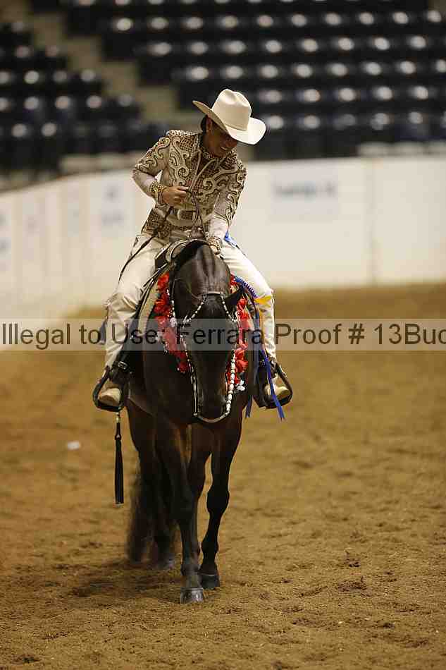 Proof 13buck_6578