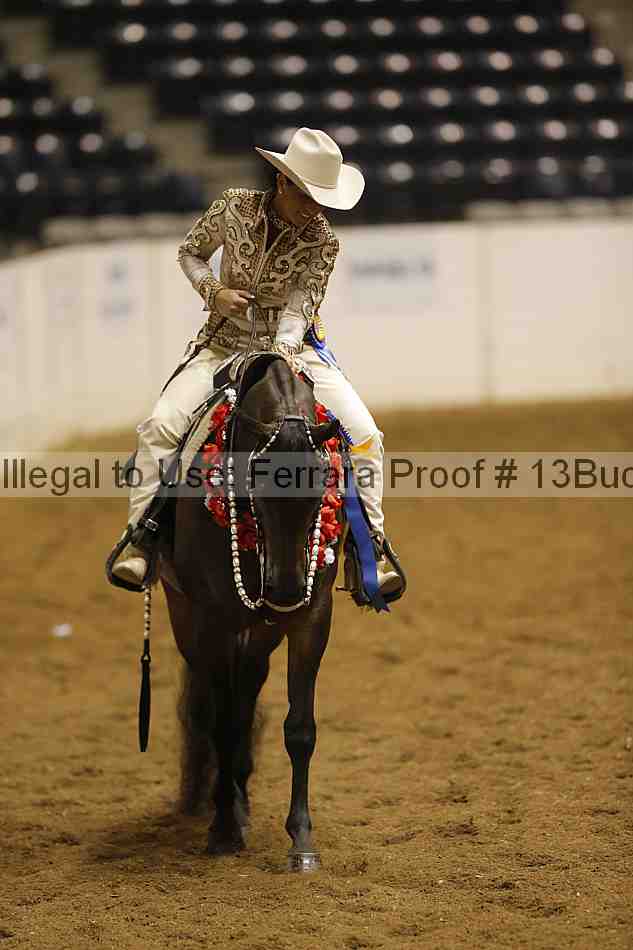 Proof 13buck_6579