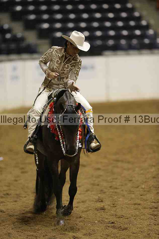 Proof 13buck_6580