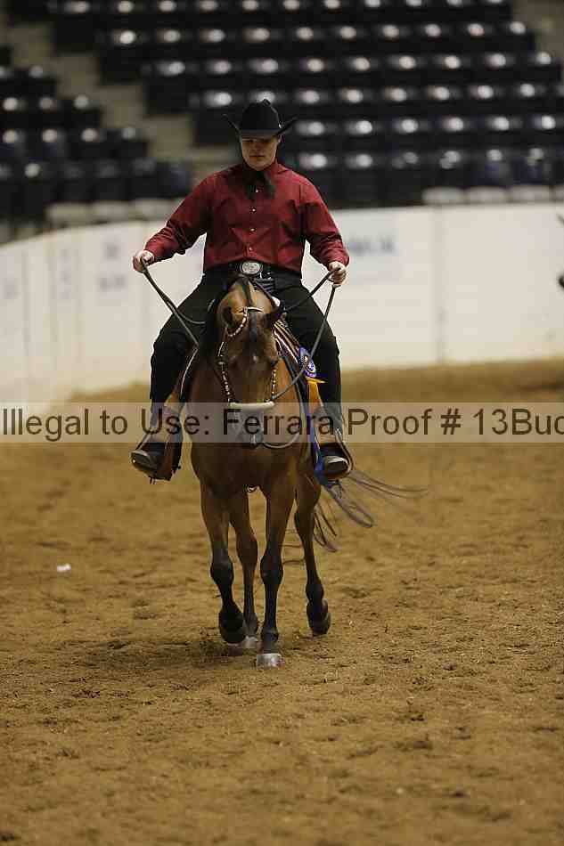 Proof 13buck_6582