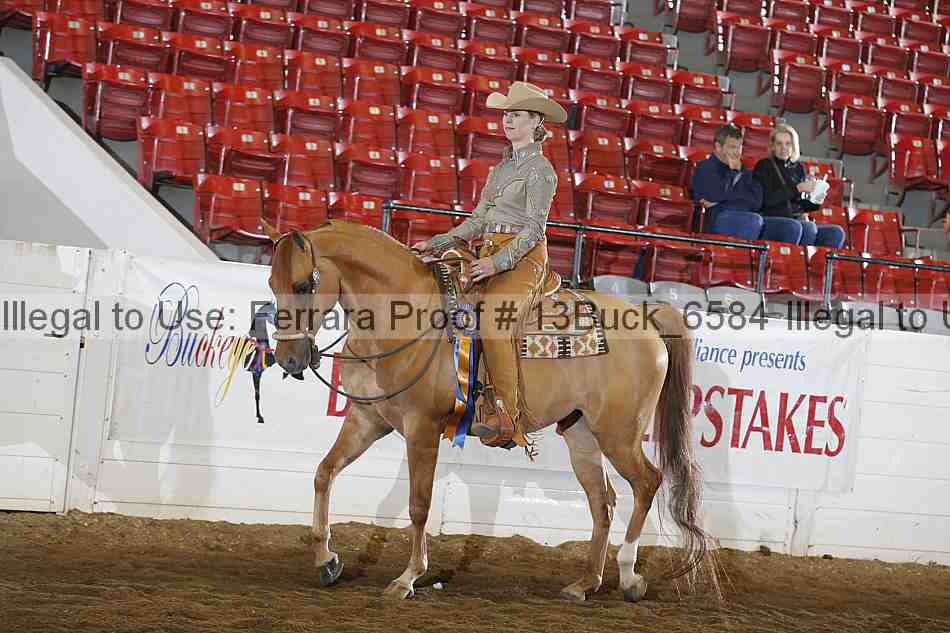 Proof 13buck_6584