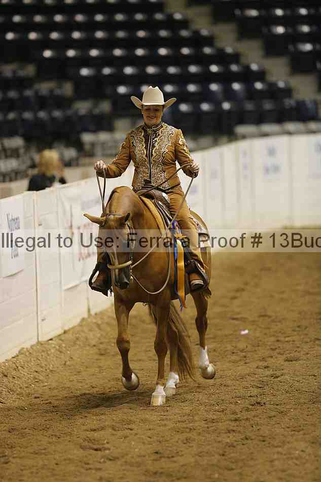 Proof 13buck_6588