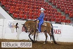 13buck_6589 proof