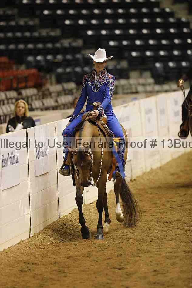 Proof 13buck_6593
