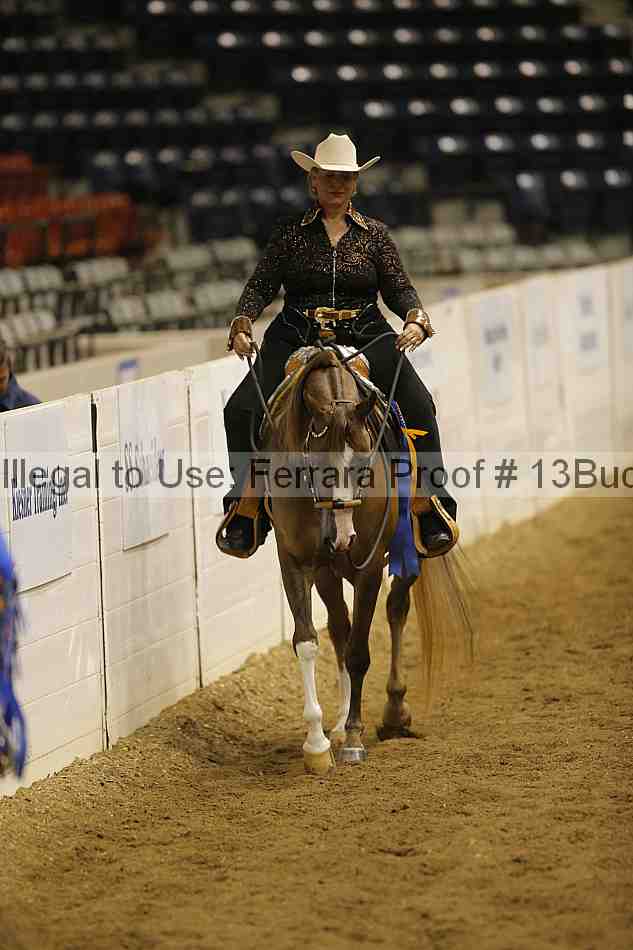 Proof 13buck_6594