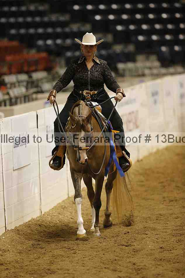 Proof 13buck_6595