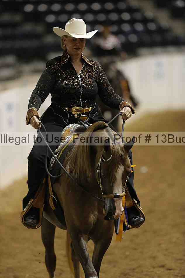 Proof 13buck_6598