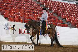 13buck_6599 proof