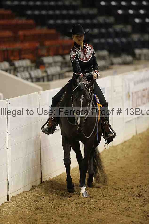 Proof 13buck_6602