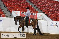 13buck_6603 proof