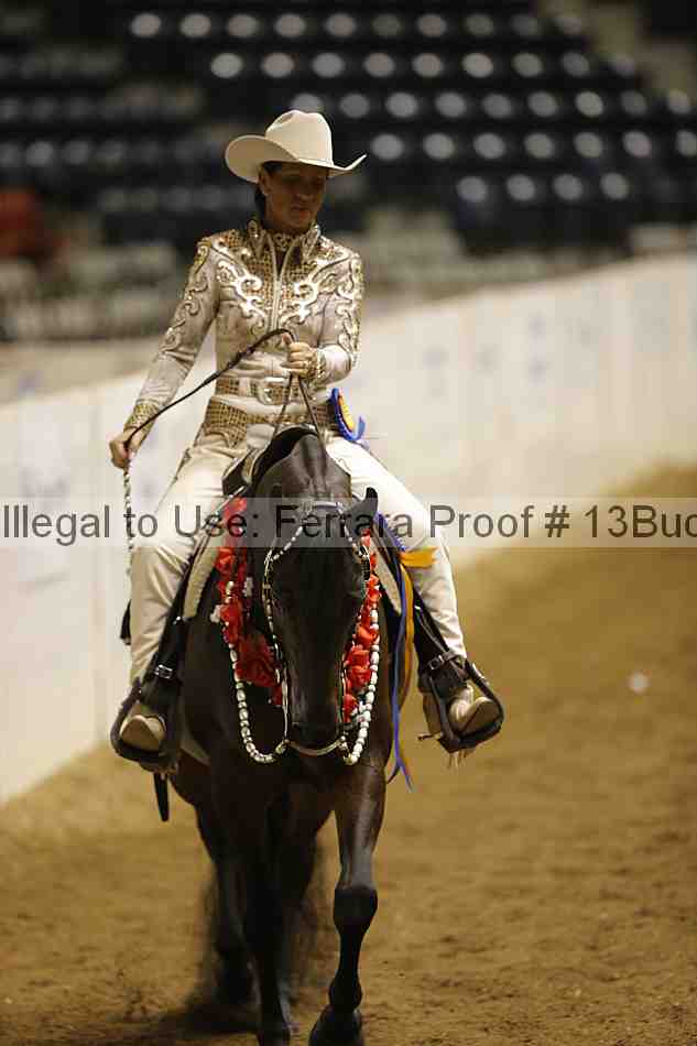 Proof 13buck_6610