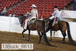 13buck_6613 proof