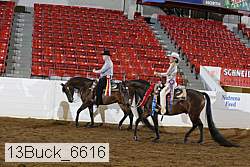 13buck_6616 proof