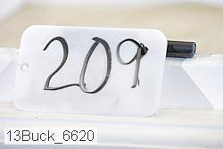 13buck_6620 proof